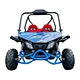 go kart buggy